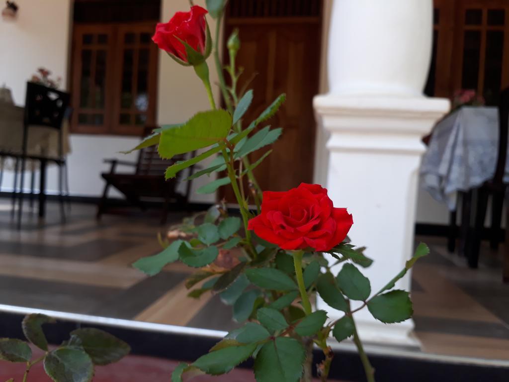 Danara Homestay Sigiriya Ngoại thất bức ảnh